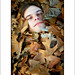 Chris Housh Photo 12