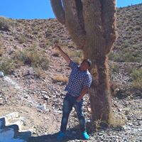 Jose Echeverria Photo 37