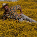 Dennis Shell Photo 4