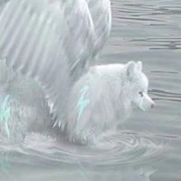 Jeffrey Goddard Photo 3