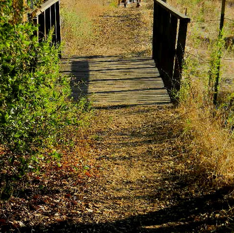 Elizabeth Quezada Photo 32