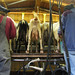 Teresa Milks Photo 13