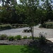 Wanda Ellis Photo 21