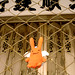 Terry Shek Photo 11