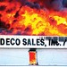 David Herald Photo 28