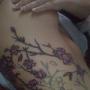 Jennifer Mayes Photo 4