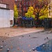 Mathew May Photo 16