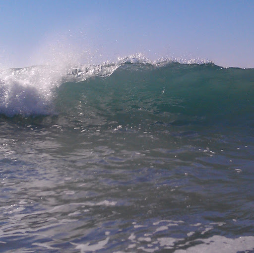 Shane Howell Photo 13