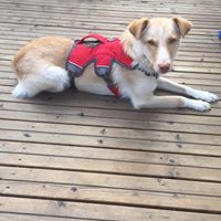 Rita Kirchhofer Photo 2