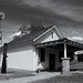 Nelson Carter Photo 9