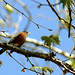 Robin Biddle Photo 9
