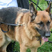 Debra Cohn Photo 15