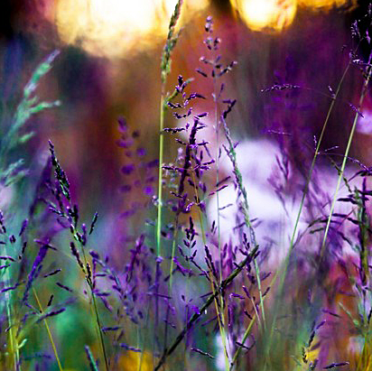 Crystal Briggs Photo 23