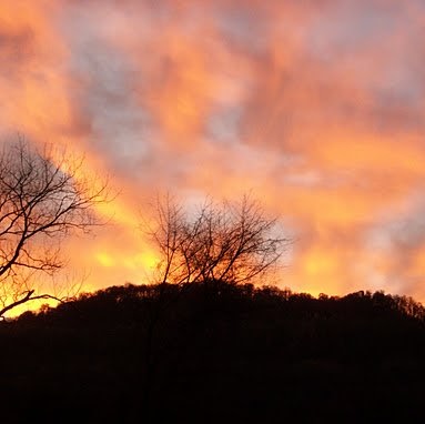 Debra Michael Photo 29