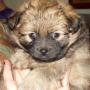 Teresa Carlson Photo 10