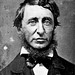 Henry David Photo 39