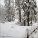 Ray Landers Photo 21