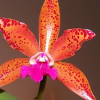 Heidi Kerr Photo 24