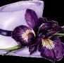 Jessica Graff Photo 7