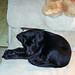 Elizabeth Boyer Photo 21