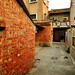 Chin Shen Photo 8