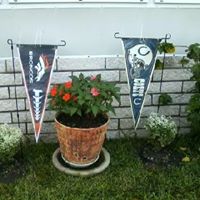 Kathy Harmon Photo 27