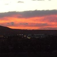 Elaine Robins Photo 8