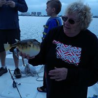 Phyllis Robbins Photo 9