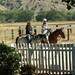 Cindy Nielsen Photo 24