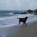 Brittany Tinker Photo 11