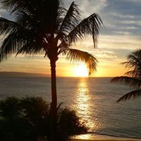 Debbie Rogers Photo 17