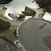 Roland Moll Photo 5