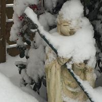 Michele Bussard Photo 6