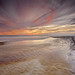 Patrick Roff Photo 5