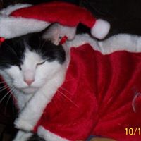Sandra Schroeder Photo 28