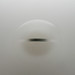 Robert Irwin Photo 26