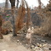 Barbara Payne Photo 11