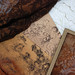 Victoria Saunders Photo 36