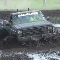 Shawn Gallagher Photo 21