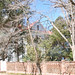 Stephen Flannery Photo 10