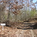Warren Short Photo 29