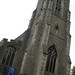 David Halstead Photo 35
