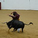Marty Thomas Photo 45