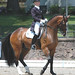Arlene Gladstone Photo 7