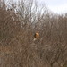 Cindy Hawks Photo 19