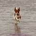 Franki Bailey Photo 4