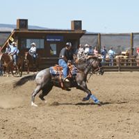 Jimmy Crittenden Photo 2