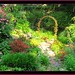 Barb Singleton Photo 16