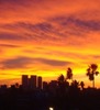 Tracey Howell Photo 38