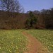 Clifford Meadows Photo 14